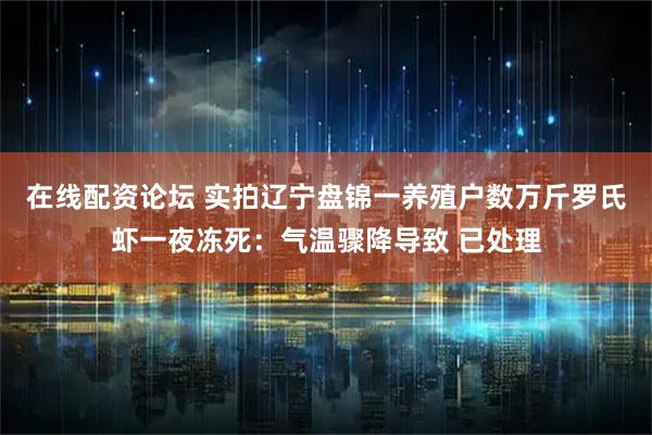 在线配资论坛 实拍辽宁盘锦一养殖户数万斤罗氏虾一夜冻死：气温骤降导致 已处理