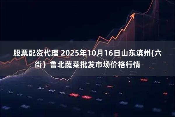 股票配资代理 2025年10月16日山东滨州(六街）鲁北蔬菜批发市场价格行情