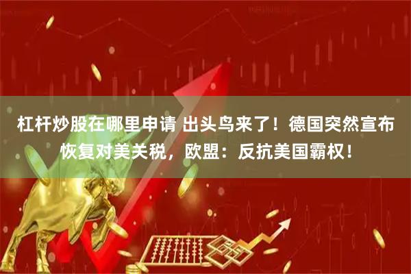 杠杆炒股在哪里申请 出头鸟来了！德国突然宣布恢复对美关税，欧盟：反抗美国霸权！