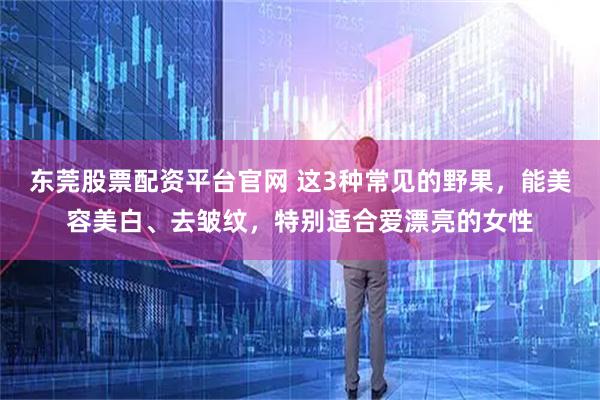 东莞股票配资平台官网 这3种常见的野果，能美容美白、去皱纹，特别适合爱漂亮的女性
